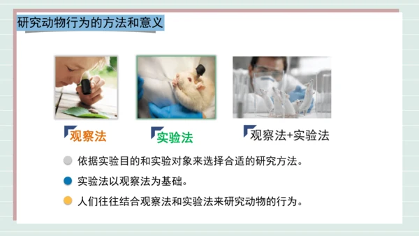 人教版生物八上 5.2.2先天性行为和学习行为(共18张PPT)+视频素材