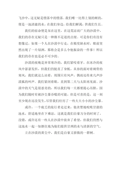 白杨树的作文600字.docx