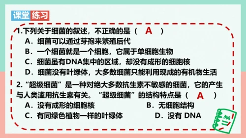 5.4.2  细菌  课件-人教版生物八年级上册(共39张PPT)