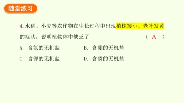 3.1.2植株的生长-七年级生物下学期同步精品课件（2024人教版）(共26张PPT)