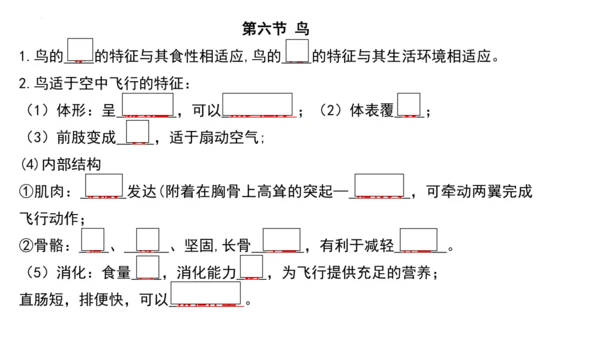 人教版生物八年级上册期末考试知识点汇总（课件）(共28张PPT)
