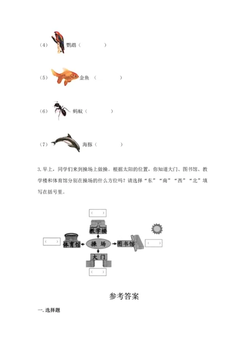 教科版二年级上册科学期末测试卷精品【模拟题】.docx