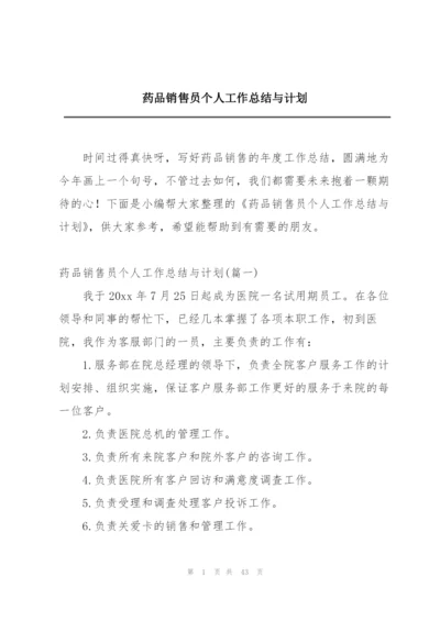 药品销售员个人工作总结与计划.docx