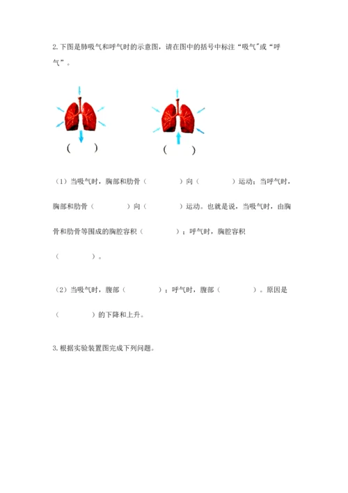 教科版科学四年级上册期末测试卷精品【夺冠系列】.docx