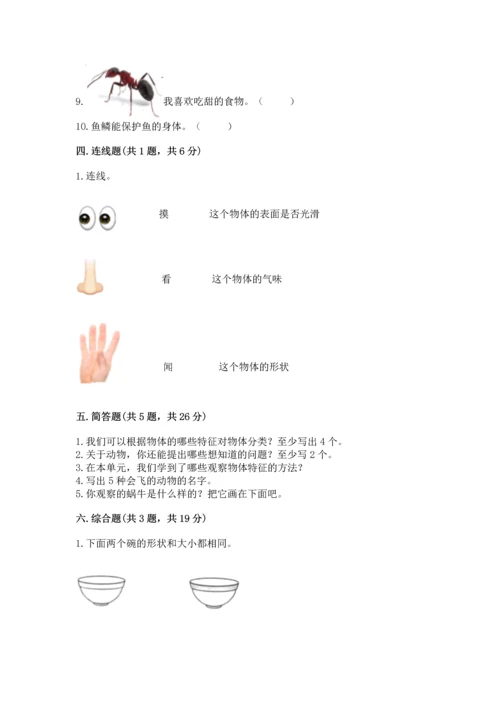 教科版一年级下册科学期末测试卷一套.docx