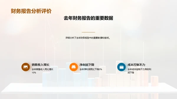 财务报告年度回顾