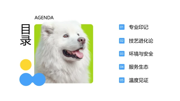彩色简约几何风宠物行业职业介绍PPT模板