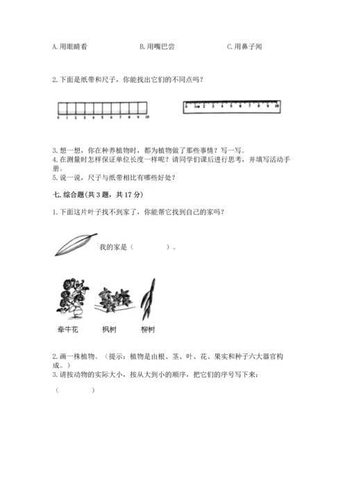教科版一年级上册科学期末测试卷附参考答案【综合卷】.docx