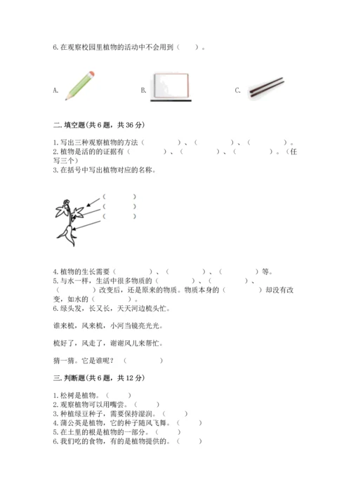 教科版科学一年级上册第一单元《植物》测试卷（易错题）.docx