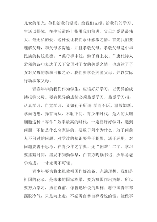 青春的责任作文.docx