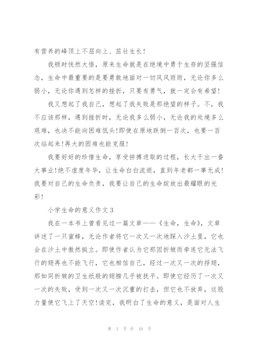 小学生命的意义作文7篇.docx
