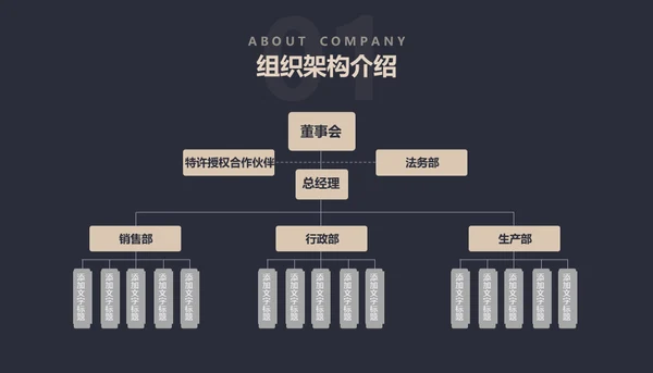 黑金创业融资商业计划书通用PPT母版