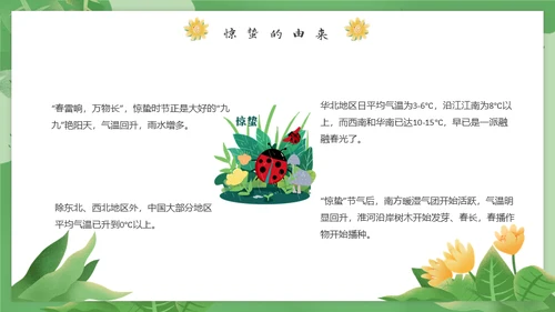 春天万物生长惊蛰女孩通用PPT模板