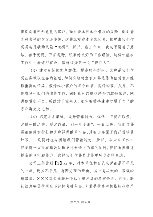 最新公司工作计划范文 (2).docx