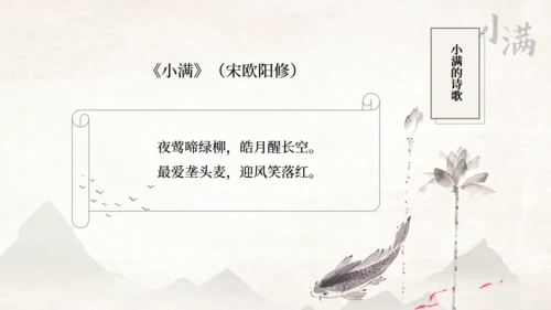 传统节气小满一抹绿色通用PPT模板
