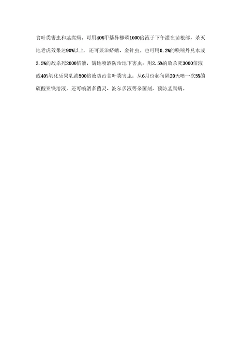 银杏扦插繁殖技术及管理方法