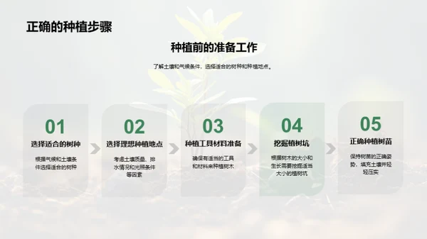 绿化生活，科学植树