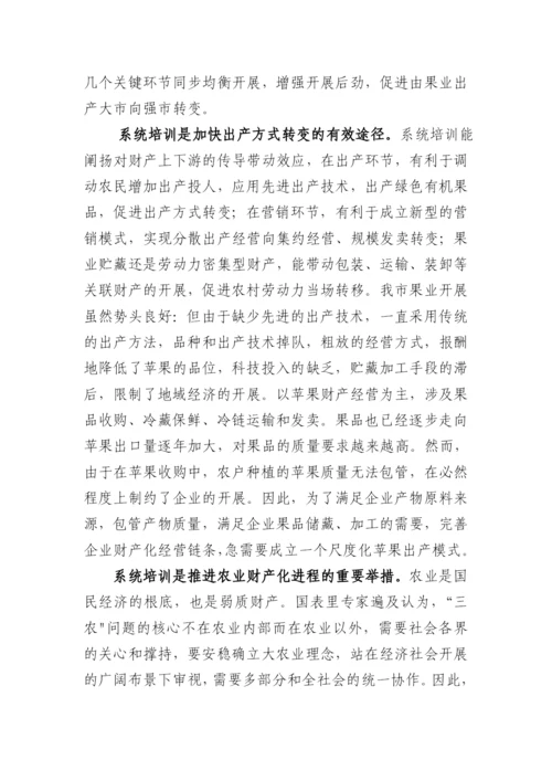 站果业项目申报书.docx