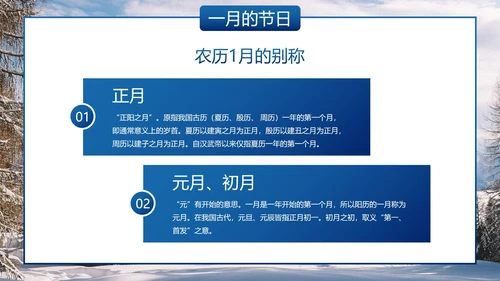 实景雪地你好一月主题科普PPT模板