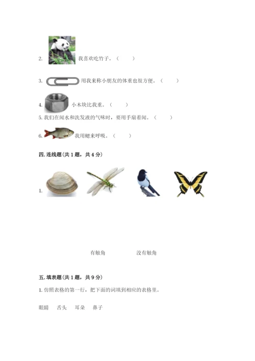 教科版一年级下册科学期末测试卷及参考答案【考试直接用】.docx