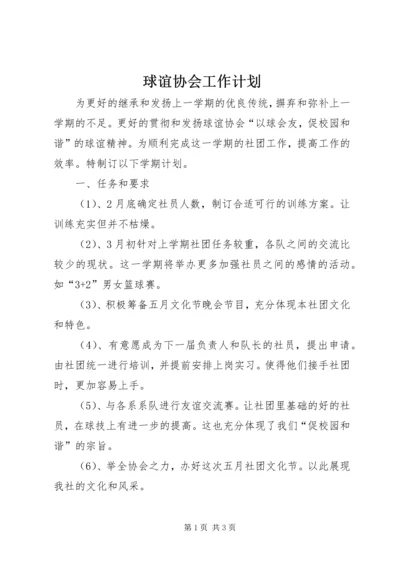 球谊协会工作计划.docx