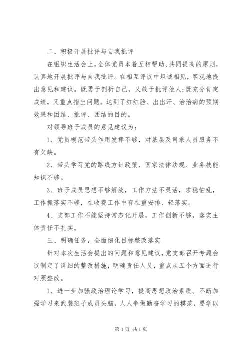 分公司党支部组织生活会总结报告.docx