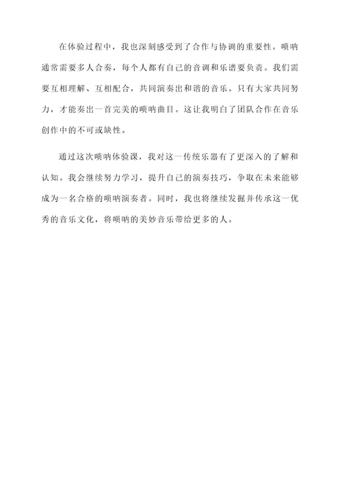 唢呐体验课的感想