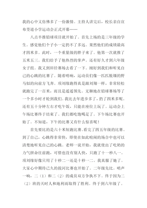 趣味运动会作文800字.docx