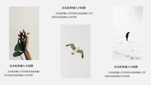极简设计产品宣传海鸟通用PPT模板