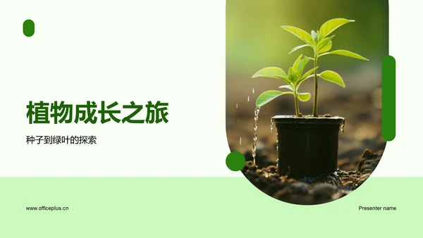 植物成长之旅