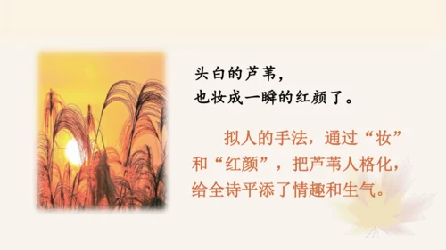 统编版语文四年级上册3.现代诗二首《花牛歌》 课件
