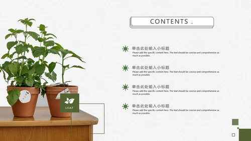 小清新绿植木纹教学PPT模板