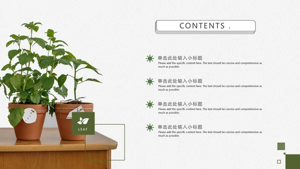 小清新绿植木纹教学PPT模板
