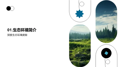 生态守护之旅