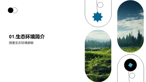 生态守护之旅