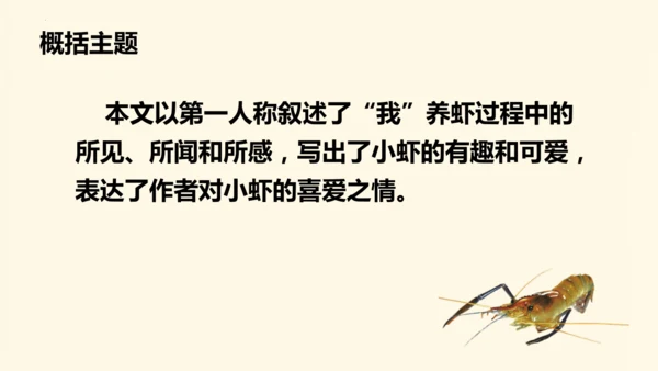 第15课《小虾》（教学课件）
