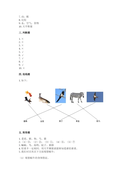 教科版一年级下册科学期末测试卷及一套答案.docx