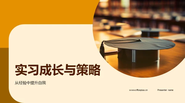 实习成长与策略