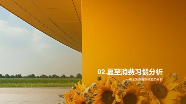夏至营销策略洞察