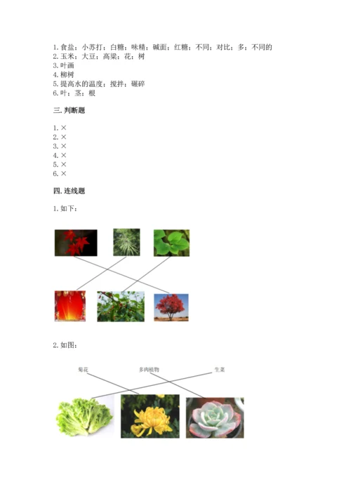 教科版科学一年级上册第一单元《植物》测试卷【全优】.docx