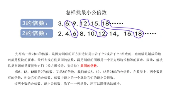 人教版五年数学下册大单元备课——最小公倍数课件(共55张PPT)