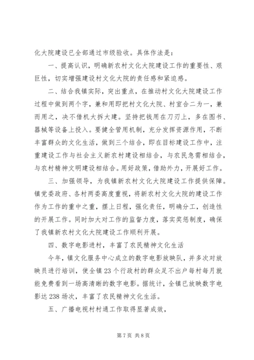 乡镇文化活动经验总结.docx