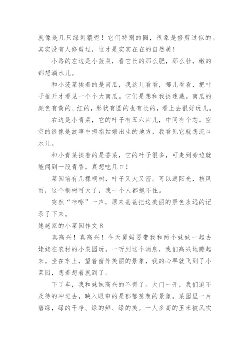 姥姥家的小菜园作文.docx