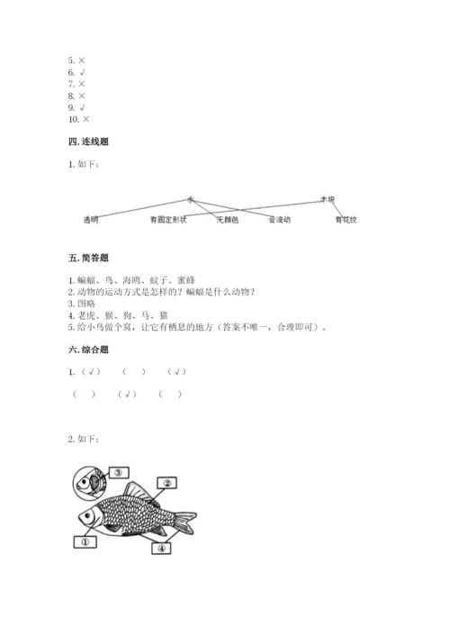 教科版一年级下册科学期末测试卷及参考答案【预热题】.docx