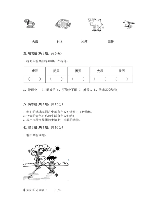 教科版二年级上册科学期末测试卷附完整答案【夺冠系列】.docx