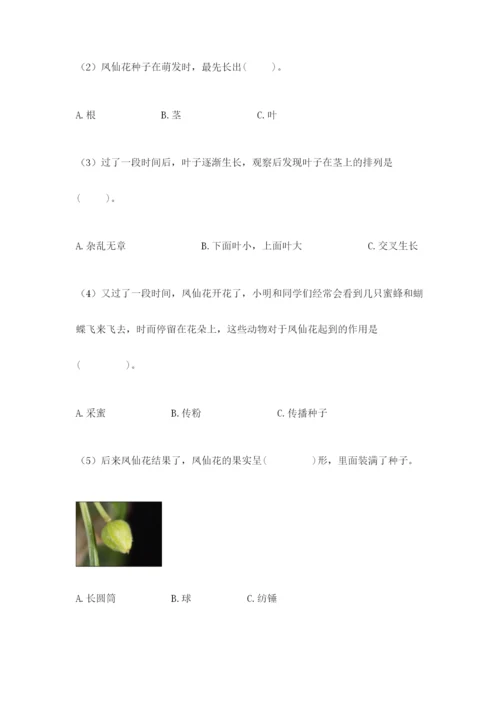 教科版科学四年级下册第一单元《植物的生长变化》测试卷【精练】.docx