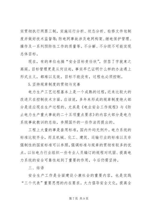 电力法结课报告书 (2).docx