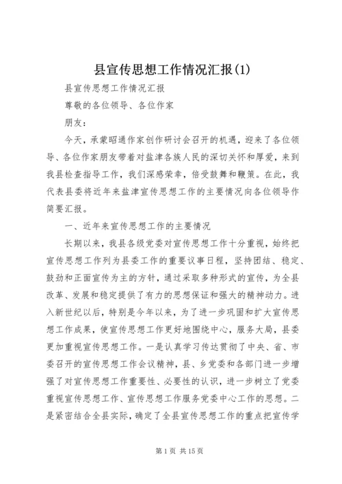 县宣传思想工作情况汇报(1).docx