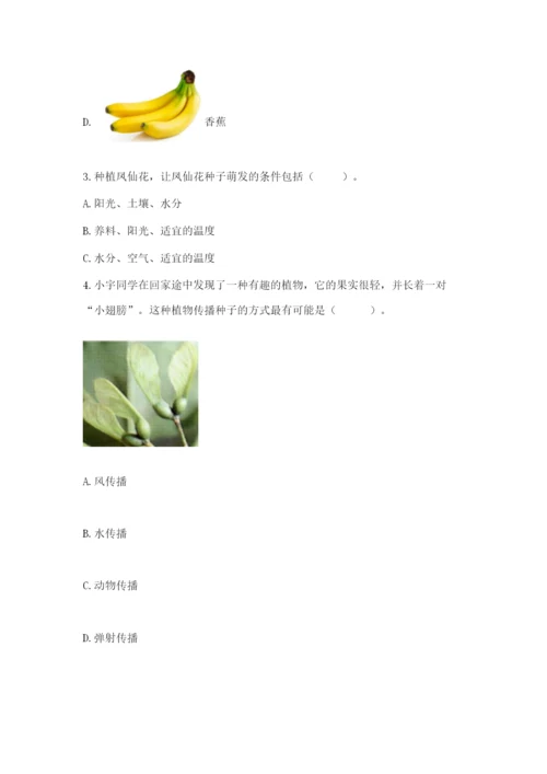 教科版四年级下册科学第一单元《植物的生长变化》测试卷【精选题】.docx