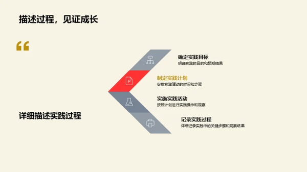 实践报告精要